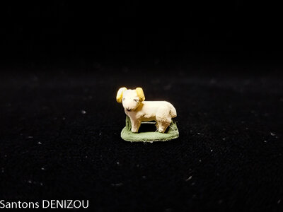 Mouton bélier