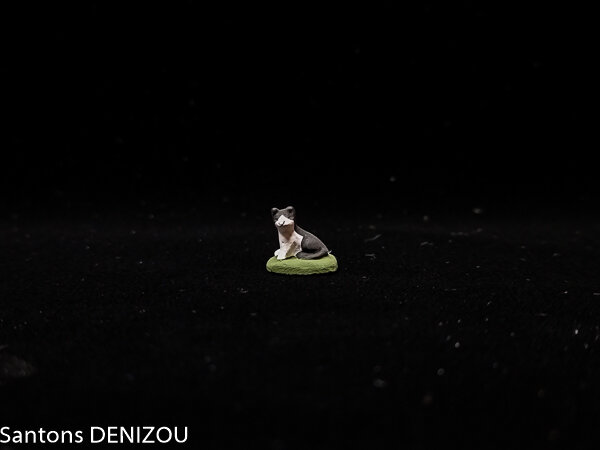 Chat noir et blanc