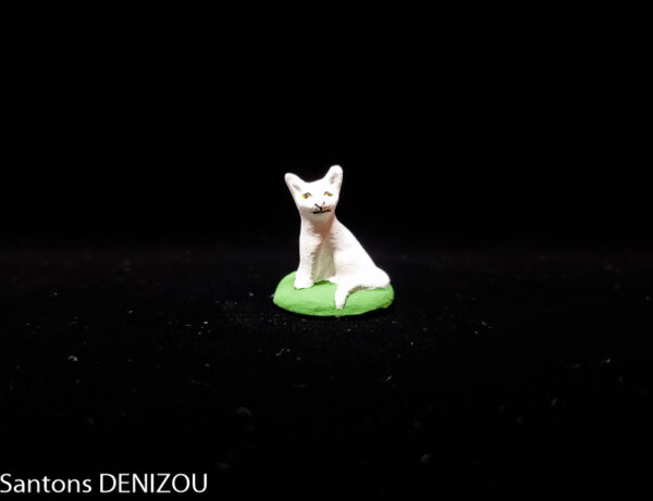 Chat Blanc