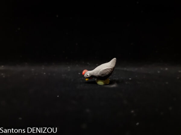 Poule Noire qui picore